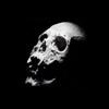 Drawing in Dark