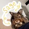 Felix George